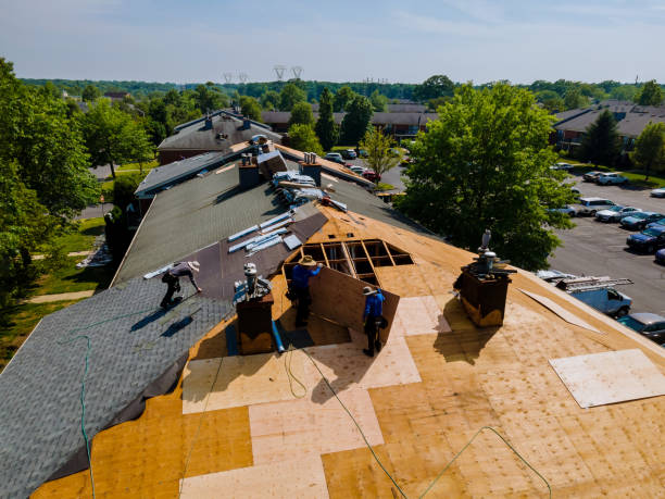 Quick and Trustworthy Emergency Roof Repair Services in Lewisburg, PA