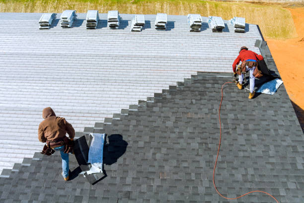 Roof Gutter Cleaning in Lewisburg, PA